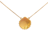 Clam Shell Necklace in Yellow Gold
