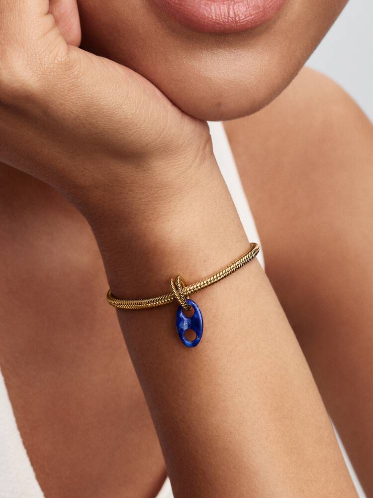 Pandora Marine Link Pendant Charm