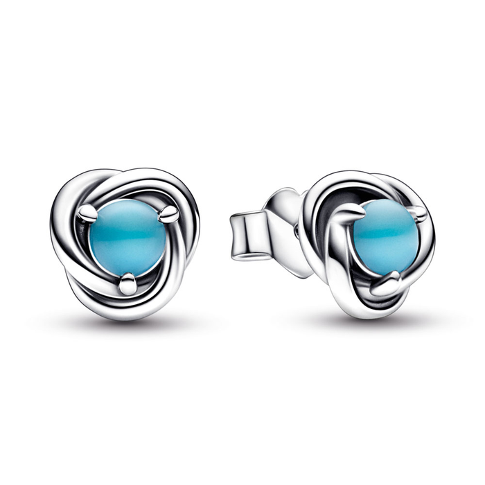 December Crystal Birthstone Eternity Circle Stud Earrings