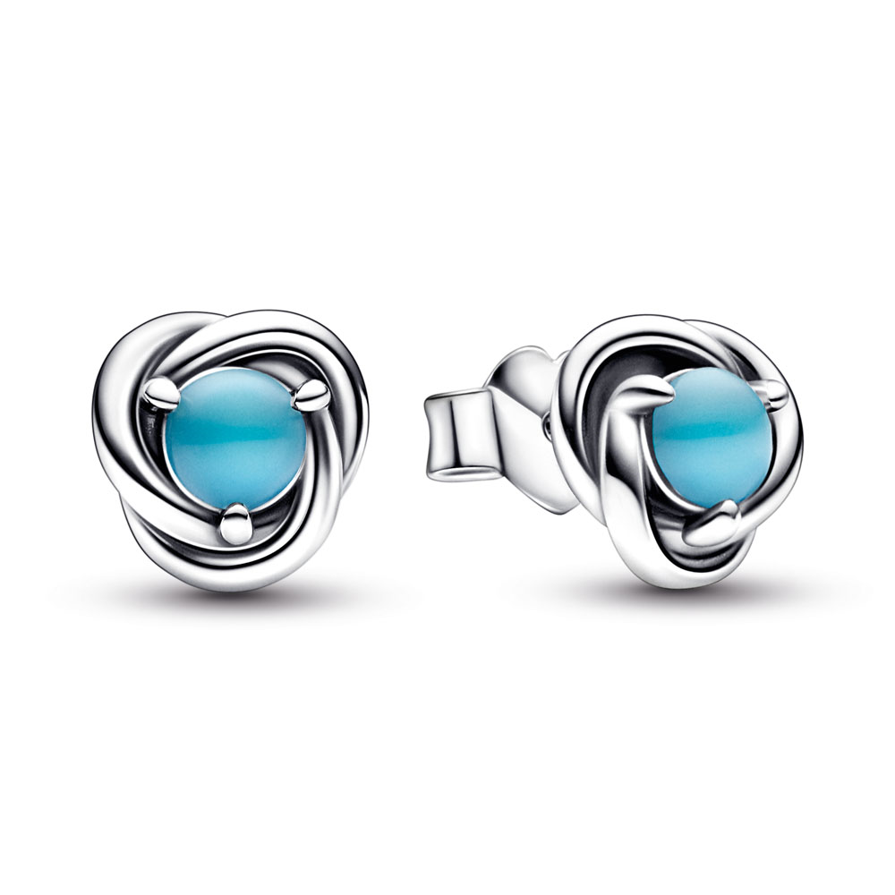 December Crystal Birthstone Eternity Circle Stud Earrings