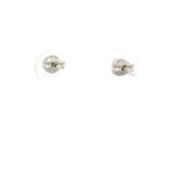 White Gold Rhodium Plated Round Ball Stud Earrings 3mm