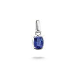 THOMAS SABO Connect Charm Birthstone September