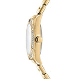 DKNY Evening Gold 30mm Silver Dial Womens Watch