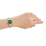 DKNY Essentials Two-Tone 28mm Green Dial Womens Watch + Gold Bracelet