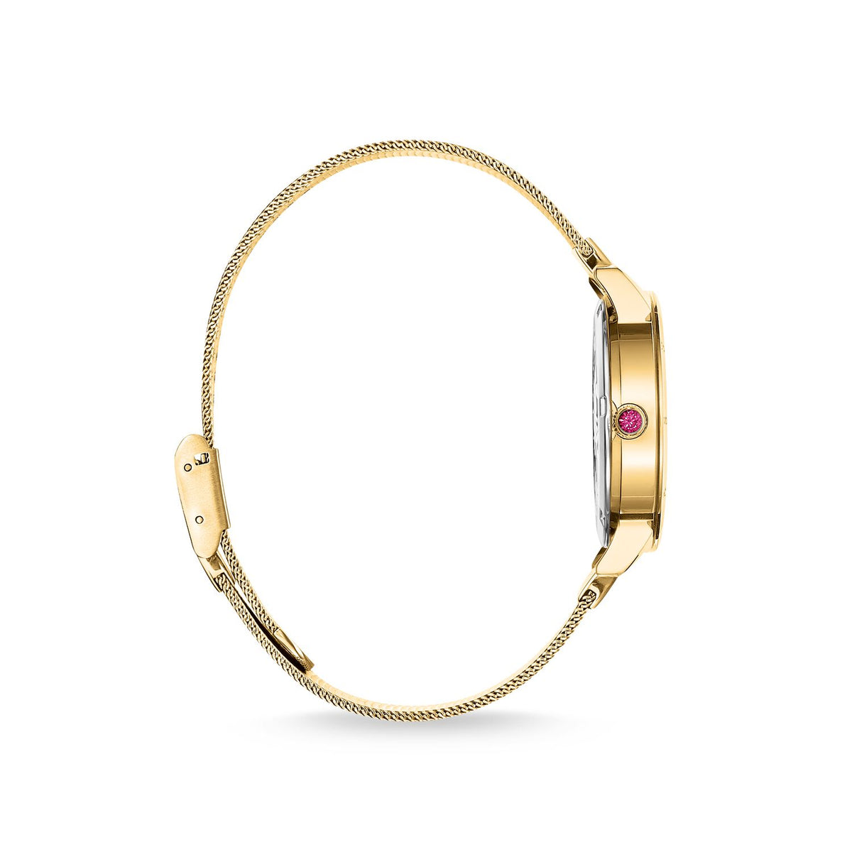 THOMAS SABO Women's Watch Dragonfly Gold