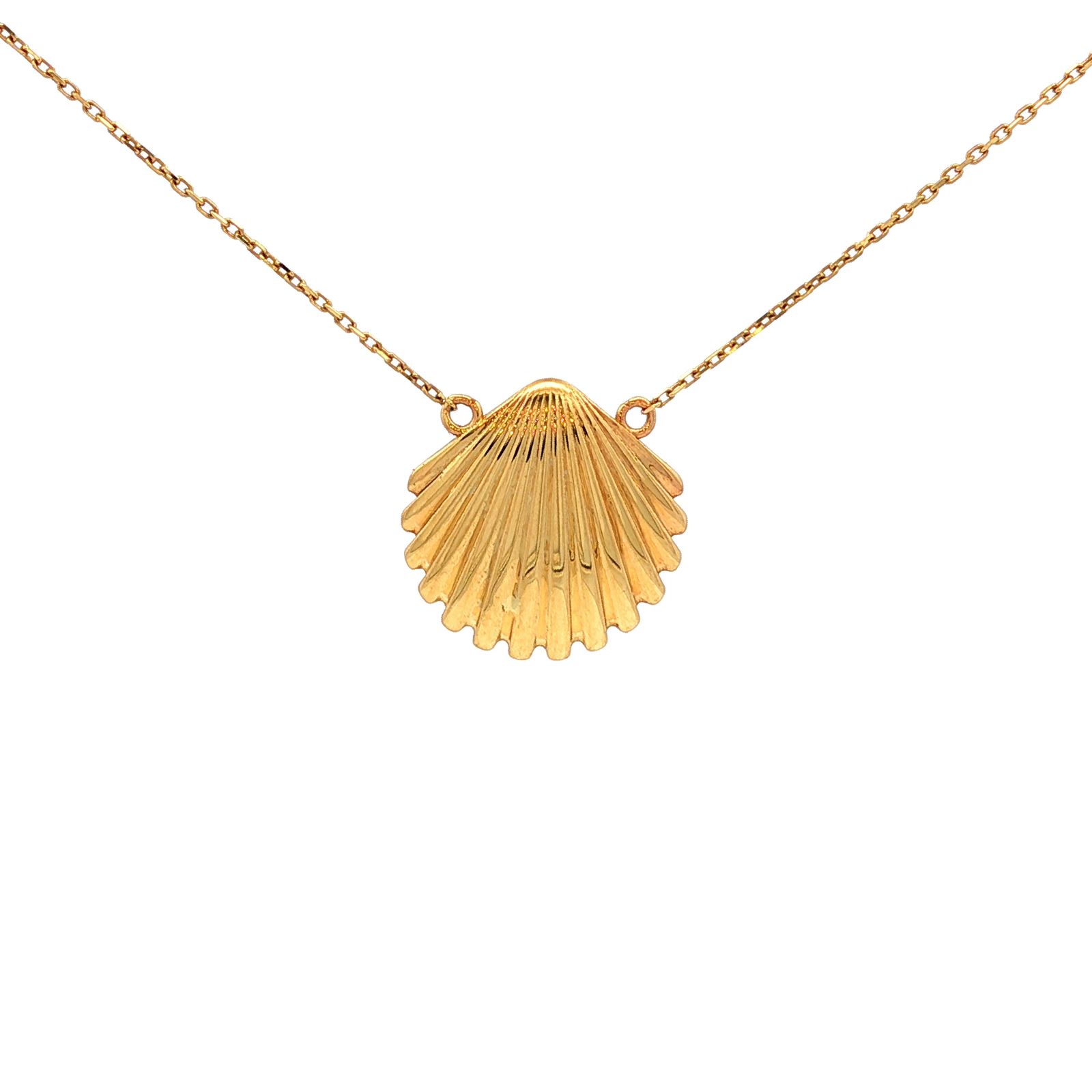 Clam Shell Necklace in Yellow Gold