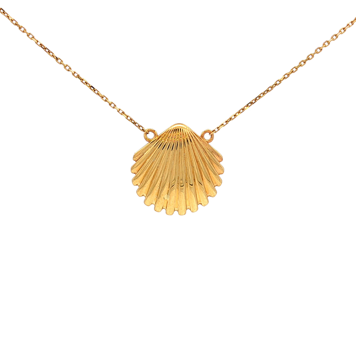 Clam Shell Necklace in Yellow Gold