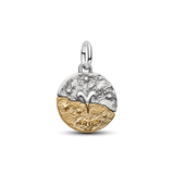 Pandora Aries Zodiac Medallion Charm