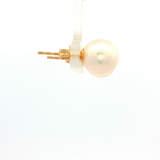 The Cosmic Moon Studs 9.5-10mm Pearl