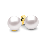 Claire Studs in Yellow Gold with White Round Freshwater Pearl Studs