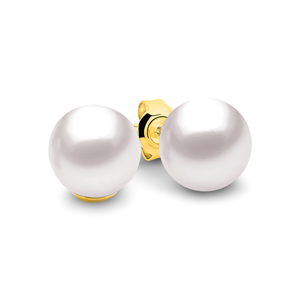 Claire Studs in Yellow Gold with White Round Freshwater Pearl Studs