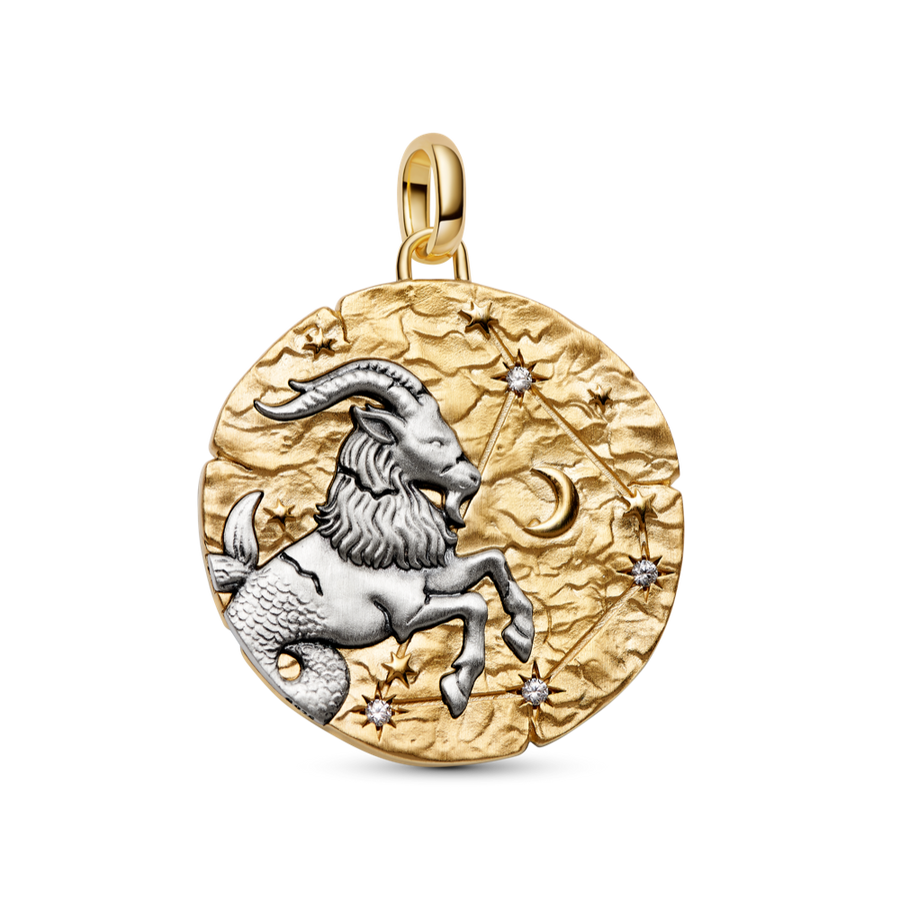 Pandora Capricorn Zodiac Oversized Medallion Charm