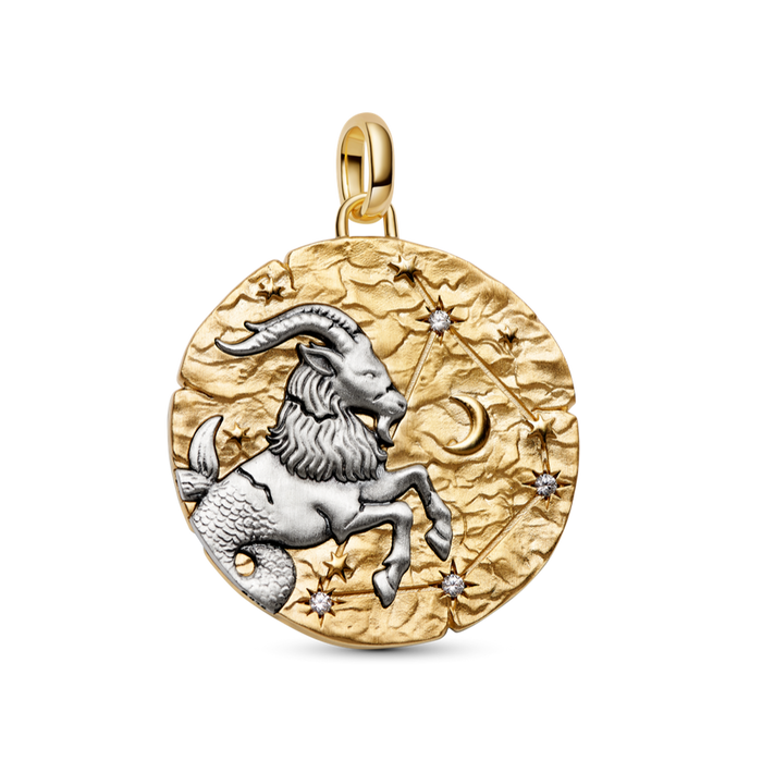 Pandora Capricorn Zodiac Oversized Medallion Charm