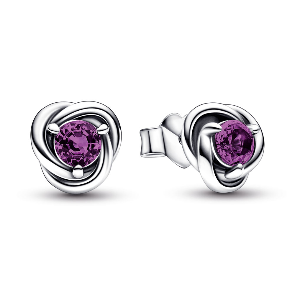 February Purple Eternity Circle Stud Earrings