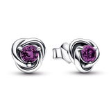 February Purple Eternity Circle Stud Earrings