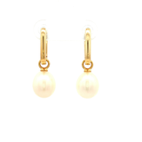 Blakely Pearl Drop Earrings in Yellow Gold