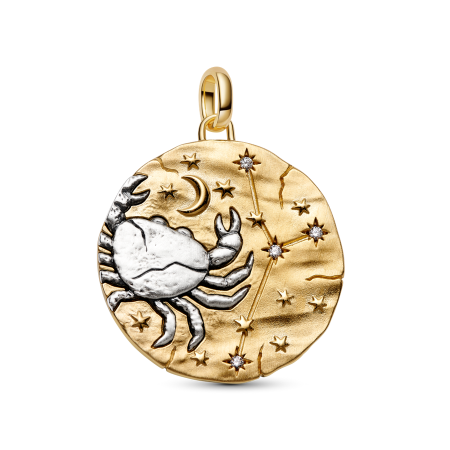 Pandora Cancer Zodiac Oversized Medallion Charm