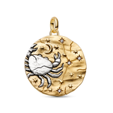 Pandora Cancer Zodiac Oversized Medallion Charm