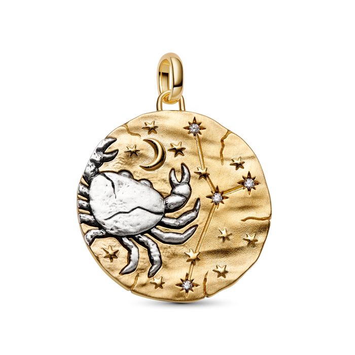 Pandora Cancer Zodiac Oversized Medallion Charm