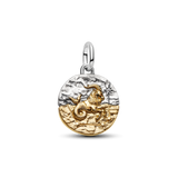 Pandora Capricorn Zodiac Medallion Charm