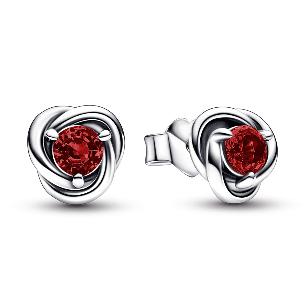 January Crystal Birthstone Eternity Circle Stud Earrings