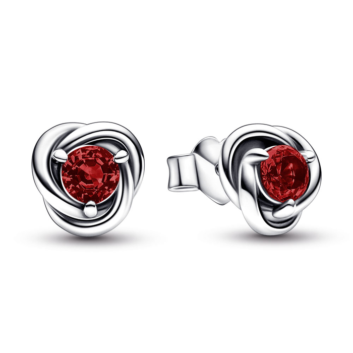 January Crystal Birthstone Eternity Circle Stud Earrings