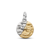 Pandora Pisces Zodiac Medallion Charm