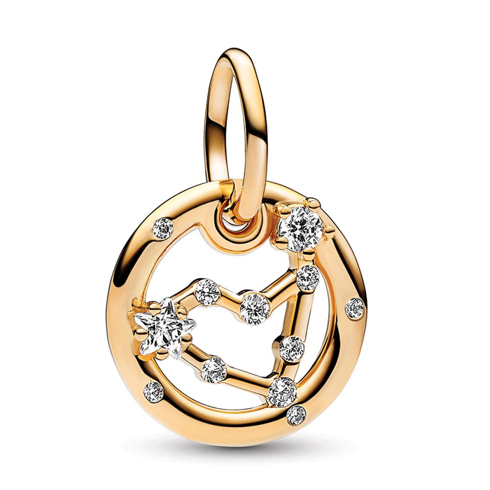 Capricorn Zodiac Dangle Charm