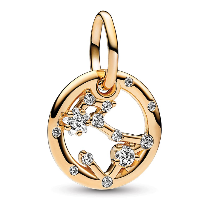 Pisces Zodiac Dangle Charm