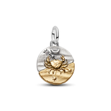 Pandora Cancer Zodiac Medallion Charm
