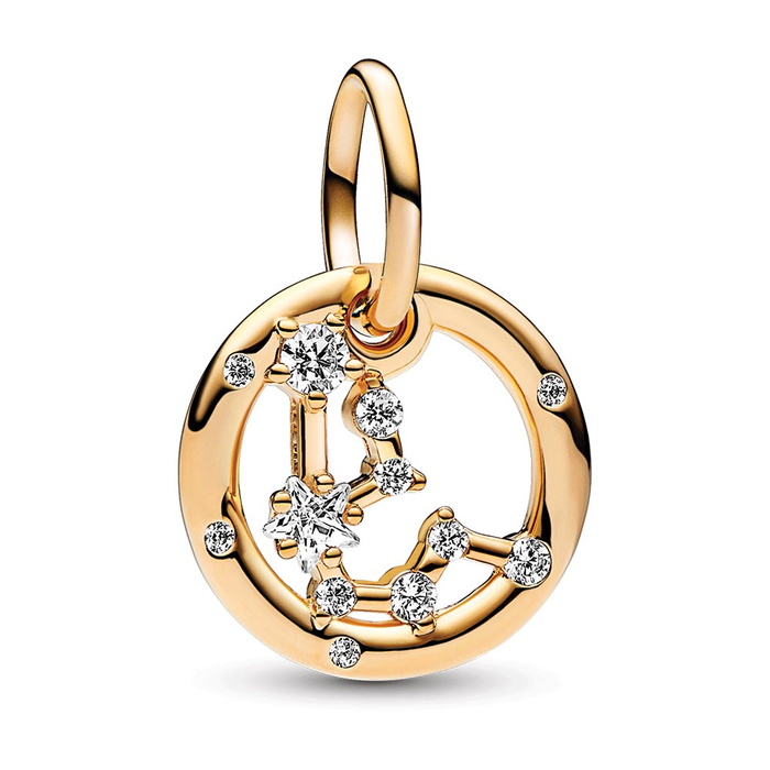 Aquarius Zodiac Dangle Charm