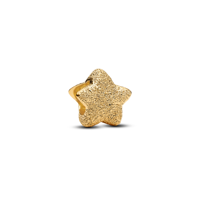 Pandora Textured Star Mini Charm
