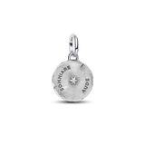 Pandora Butterfly Medallion Charm