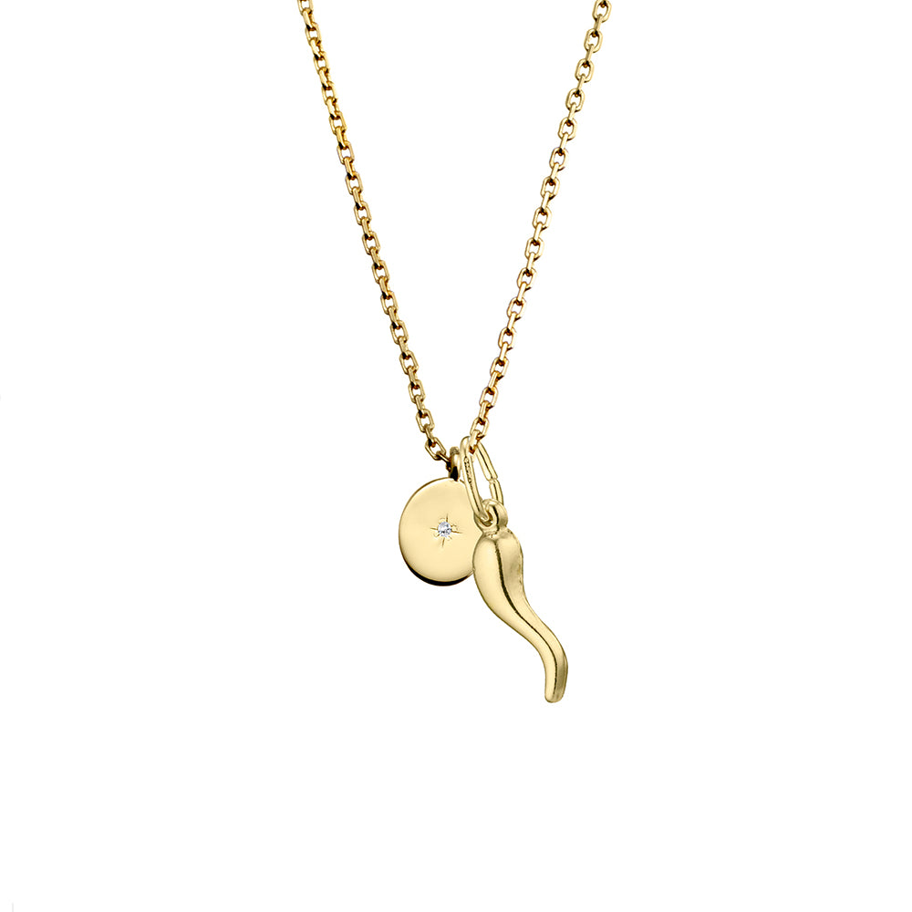 Sterling Silver Necklace with Oval CZ Pendant and Cornicello charm