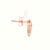 9ct Rose Gold Diamond Circle Earrings