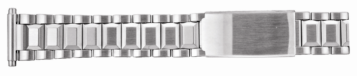 Gents Stainless Steel Spring End Watchband