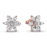 Sparkling Herbarium Cluster Stud Earrings