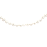 Freshwater Pearl Necklace