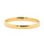 Ellani Gold Plated Stainless Steel Bangle