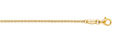 Engelsrufer Gold Plated Chain Necklace 70cm